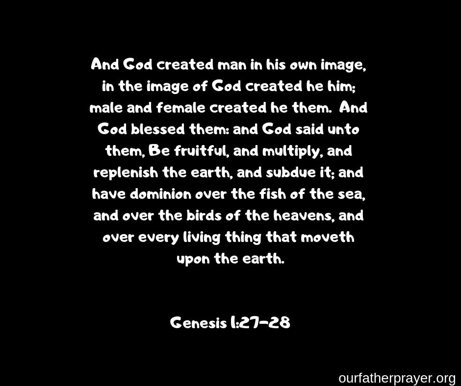 Genesis 1:27-28 And God created man in his own image, in the image of God created he him; male and female created he them.  And God blessed them: and God said unto them, Be fruitful, and multiply, and replenish the earth, and subdue it; and have dominion over the fish of the sea, and over the birds of the heavens, and over every living thing that moveth upon the earth.