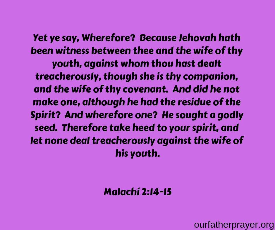 Malachi 2:14-15 Yet ye say, Wherefore?  Because Jehovah hath been witness between thee and the wife of thy youth, against whom thou hast dealt treacherously, though she is thy companion, and the wife of thy covenant.  And did he not make one, although he had the residue of the Spirit?  And wherefore one?  He sought a godly seed.  Therefore take heed to your spirit, and let none deal treacherously against the wife of his youth.